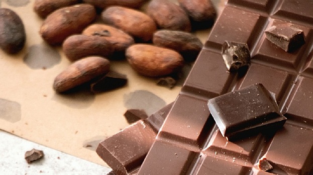 История шоколада: как и когда появился шоколад в мире и России