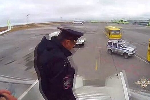 Пьяный россиянин устроил дебош в самолете и попал на видео