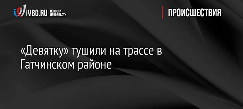 «Девятку» тушили на трассе в Гатчинском районе