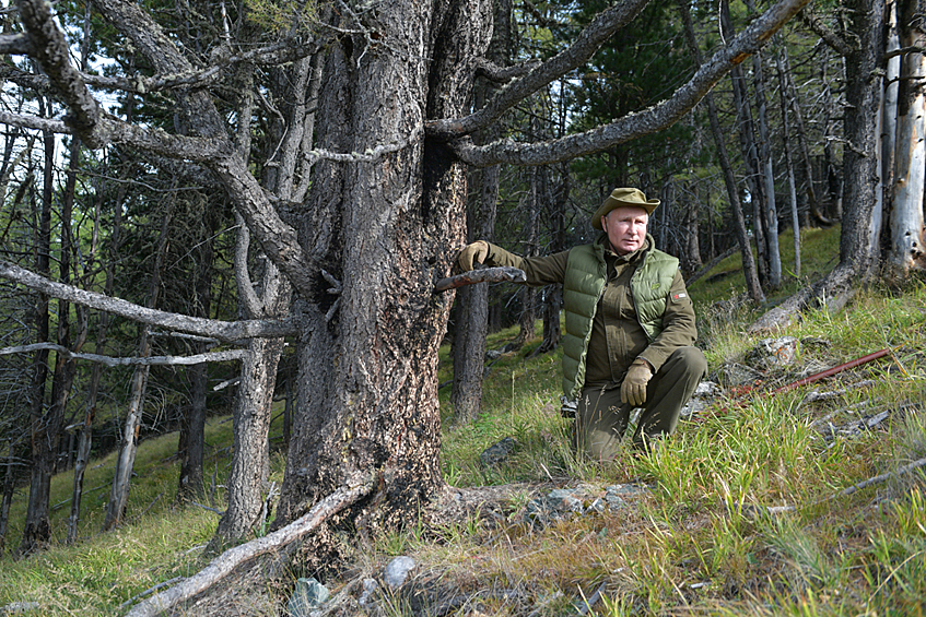 Также Путин нашел в лесу сувенир. На одном из грибов, что собрал президент, сверху, на шляпке, прилипла шишка, что позабавило главу государства.