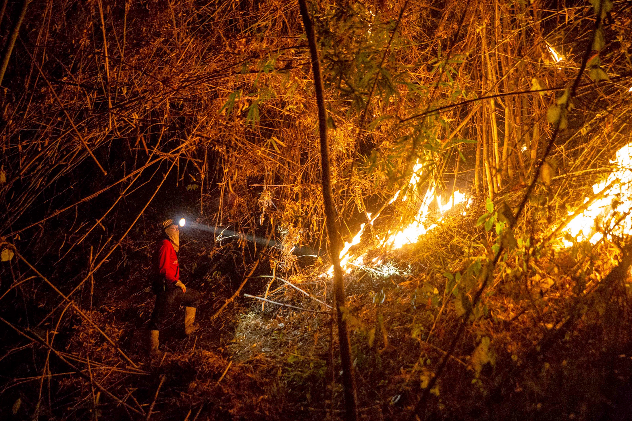На севере Таиланда из-за пожаров и смога введен режим ЧС