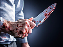 Житель Татарстана зарезал бывшую жену и детей