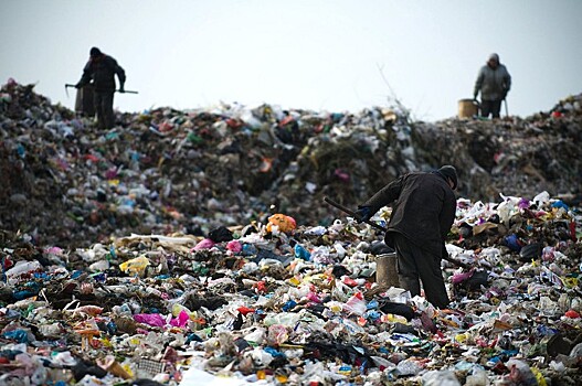 Степень переработки мусора в России повысят до 50-60%