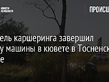 Водитель каршеринга завершил аренду машины в кювете в Тосненском районе