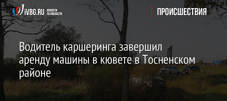 Водитель каршеринга завершил аренду машины в кювете в Тосненском районе