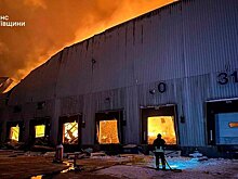 Пожар почти полностью уничтожил склад кондитерской фабрики Порошенко под Киевом