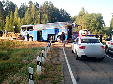 Есть пострадавшие: пассажирский автобус столкнулся с товарным поездом в Ленобласти