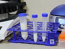 Антибиотик в молоке обнаружили специалисты Нижегородского референтного центра Россельхознадзора