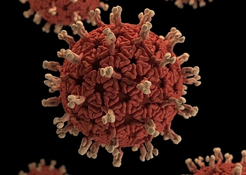 В Калмыкии подтвердили ещё 112 случаев заражения коронавирусом