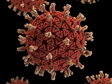 В Калмыкии подтвердили ещё 112 случаев заражения коронавирусом