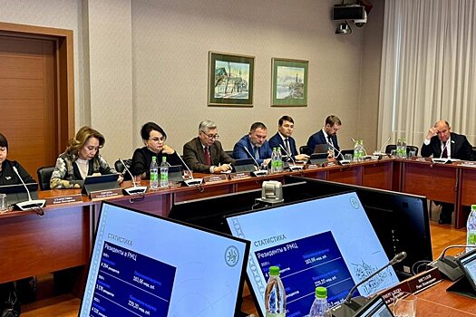 Татарстан вошел в тройку лидеров по объему закупок у малого и среднего бизнеса