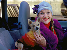 Риз Уизерспун ищет актрис на главную роль в приквеле «Блондинки в законе»