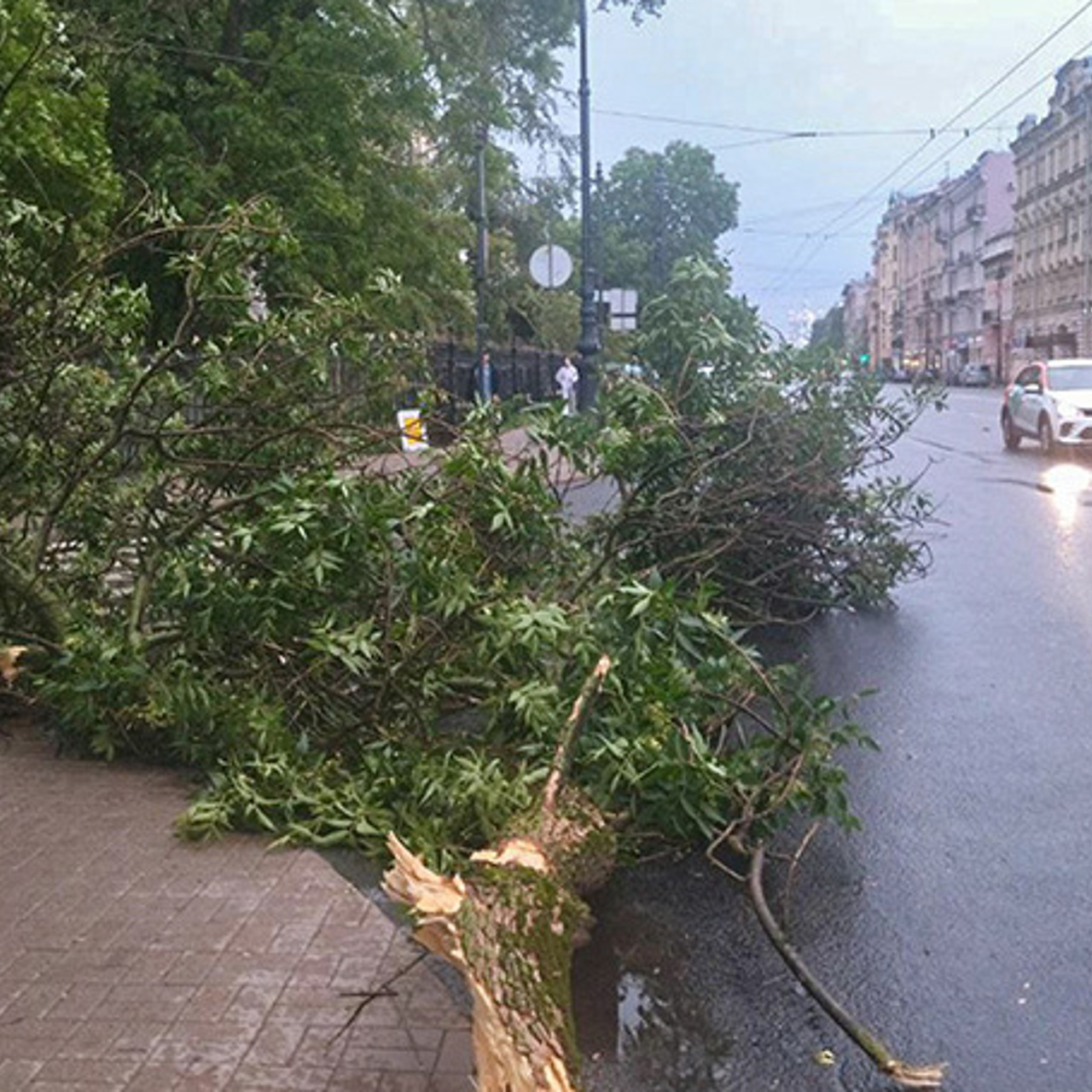 В Петербурге от урагана погибли три человека - Рамблер/новости