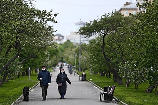 В Госдуме оценили продление самоизоляции в Москве