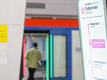 Гномы и карнавальные костюмы: свыше 2,5 тысячи вещей забыли в метро в праздники