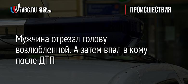 Мужчина отрезал голову возлюбленной. А затем впал в кому после ДТП