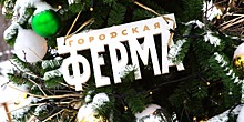 На «Городской ферме» на ВДНХ готовятся к пополнению