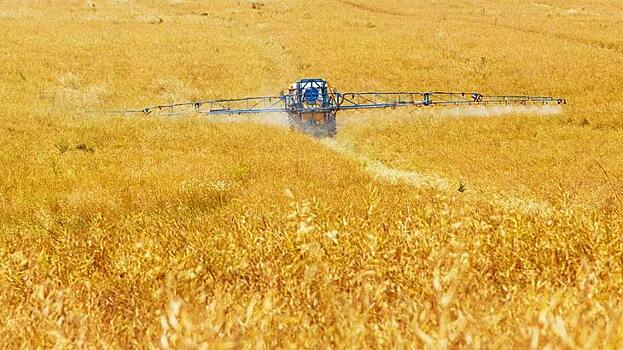 Деятельность Россельхознадзора в сфере безопасного обращения пестицидов и агрохимикатов: итоги 2021