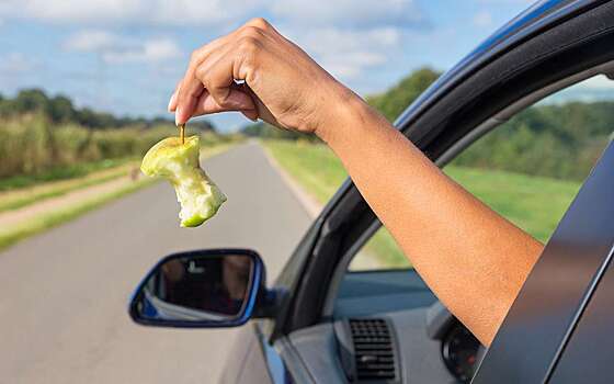 Россияне стали чаще жаловаться на нарушителей ПДД в полицию