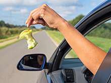 Россияне стали чаще жаловаться на нарушителей ПДД в полицию