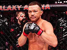 Петр Ян обратился к чемпиону UFC Мерабу Двалишвили