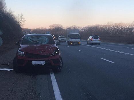 Лист фанеры убил пятилетнего ребенка на трассе в Приморье