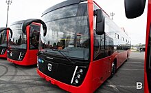 ПАЗы, "Лотосы", НЕФАЗы: какие автобусы Татарстан закупит городам и районам на казначейский кредит