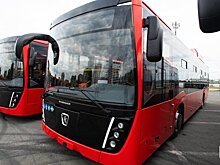 ПАЗы, "Лотосы", НЕФАЗы: какие автобусы Татарстан закупит городам и районам на казначейский кредит