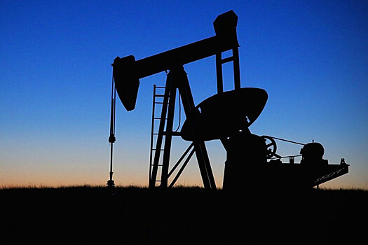Совфед ратифицировал протокол к нефтяному соглашению с Беларусью