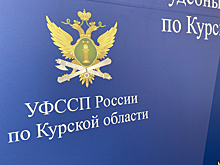 Судебные приставы 10 ноября ответят на вопросы по делам участников СВО и их родственников