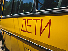 Автопарк школьных автобусов расширили в Беларуси