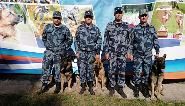 Кинологи УФСИН по Карелии вошли в десятку лучших в России