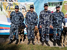 Кинологи УФСИН по Карелии вошли в десятку лучших в России