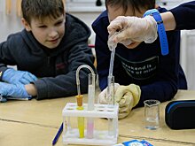 Поведение песчанок и шелковая сеть эмбий. Чем занимаются юные натуралисты