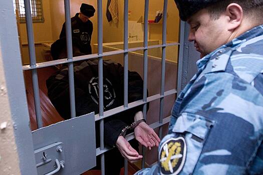 Несколько раз пересекший границу России иностранец получил пожизненный срок