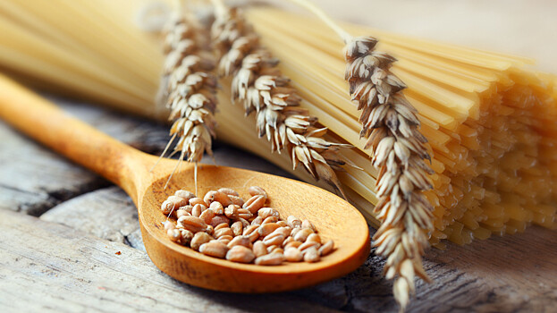 Итальянский сорт пшеницы предлагают выращивать в Челябинской области