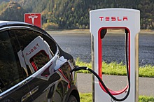 Экологичность Tesla сделала автомобили приманкой для крыс