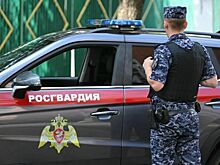 Охранники будут сбивать беспилотники из пулеметов