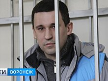 «Виновник стоял и смотрел». Родные погибшей в Воронеже мамы с малышом рассказали суду о ДТП
