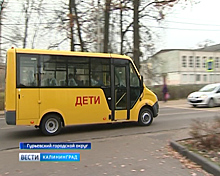 В Гурьевском округе вышли в рейс новые школьные автобусы