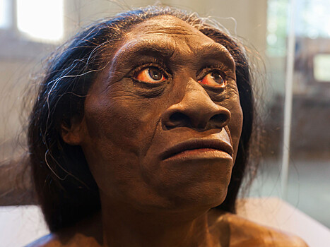Обнаружен новый вид предка современного человека