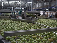 Ингушетия экспортировала продукции АПК на $ 1,1 млн