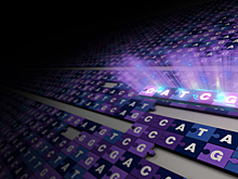 Геном человека впервые расшифрован без пробелов