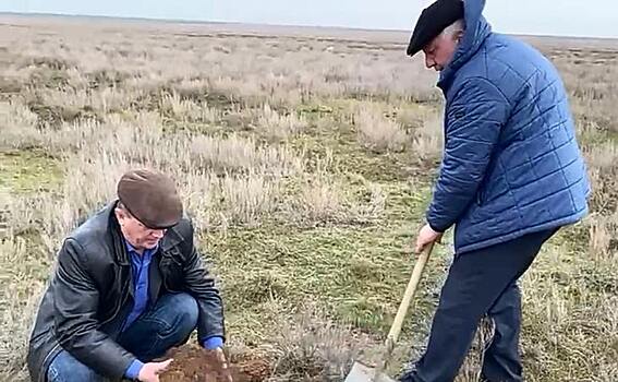 В Ростовской области разыскиваются особо опасные марроканская саранча и итальянский прус