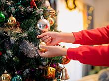 Россиян предупредили об опасных для животных новогодних украшениях