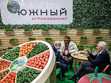 В доктрину продбезопасности внесут фрукты и овощи