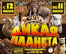 Шоу с дрессированными животными «Дикая планета» приезжает в Нижний Новгород