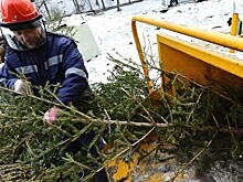 Экоточки Москвы: после Нового года елки можно сдать на переработку