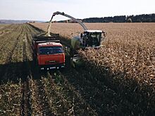 На полях «Русской нивы» в Удмуртии закончилась уборка кукурузы