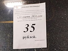 Проезд в дзержинской маршрутке Т‑29 подорожает до 35 рублей